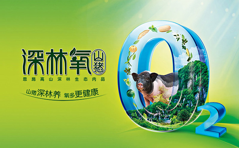 長太生生豬品牌設(shè)計 重慶深林氧山豬，搶好位，贏大勢！