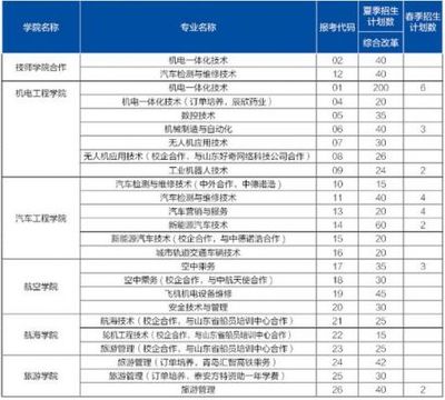 山東職業學院軟件專業 技能培養與就業前景分析